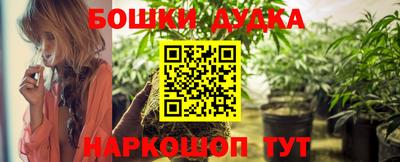 Альфа ПВП Моздок