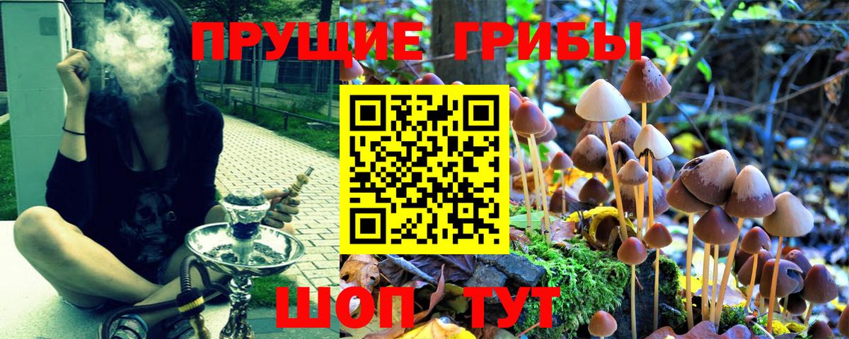 Галлюциногенные грибы ЛСД  Псилоцибиновые грибы Cubensis  Вход с VPN  где найти наркотики  Видное 